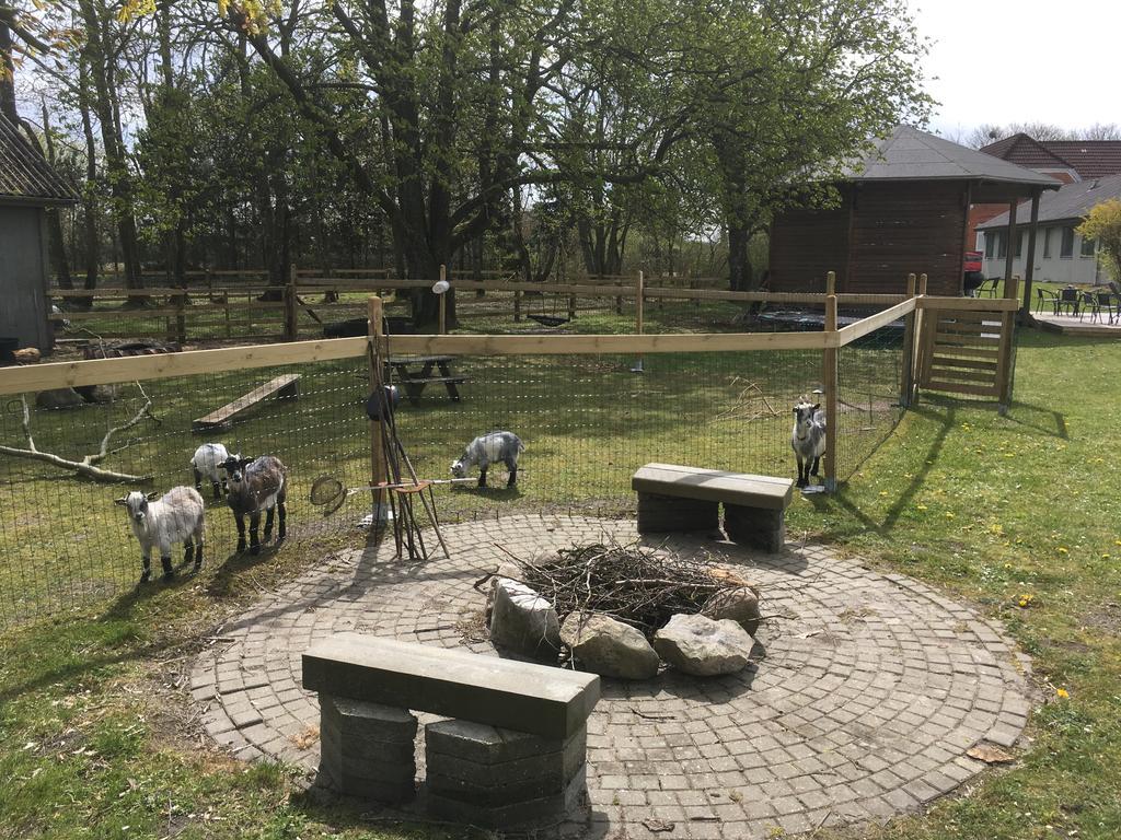 Hestkær Family Rooms Summer Camp Krogager Eksteriør billede