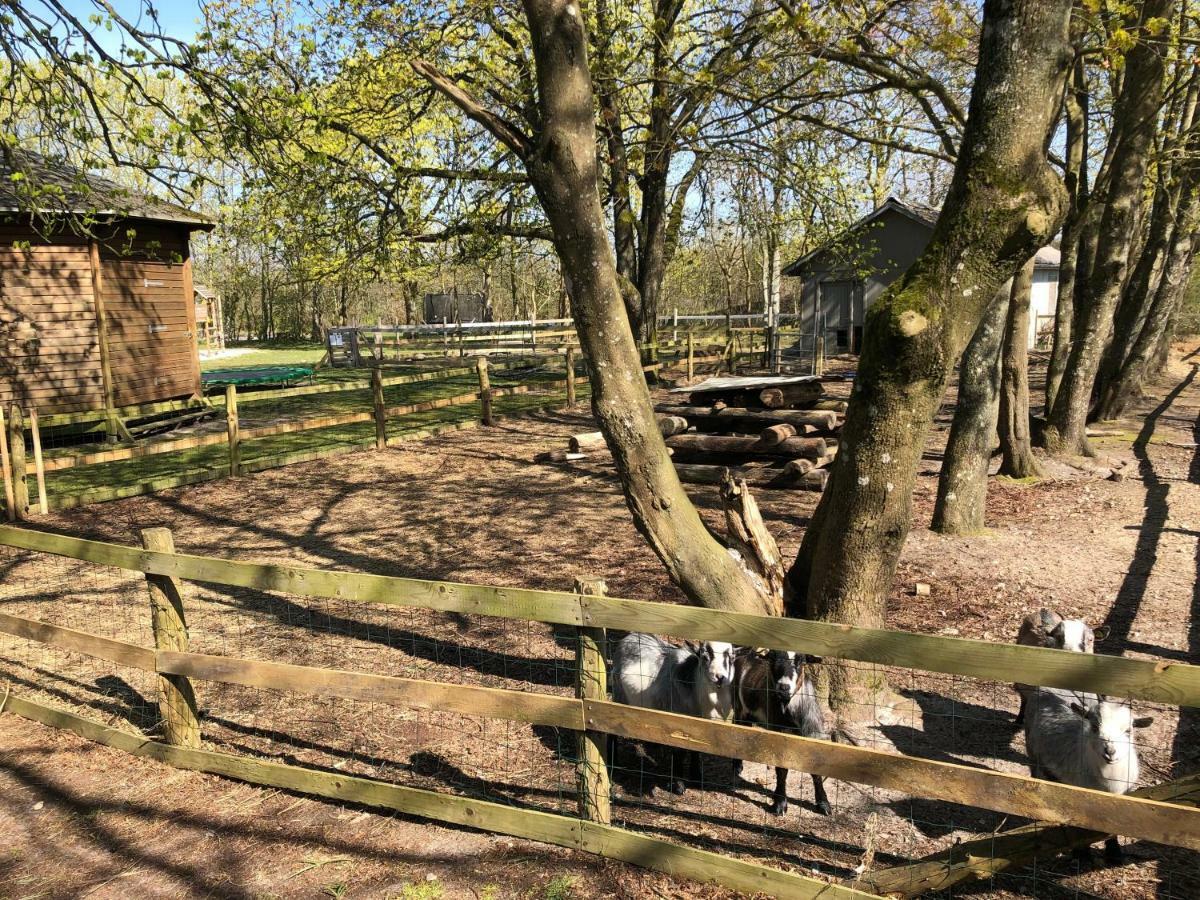 Hestkær Family Rooms Summer Camp Krogager Eksteriør billede