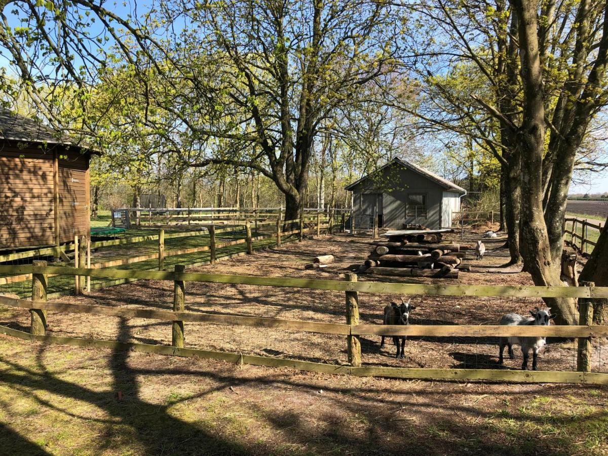 Hestkær Family Rooms Summer Camp Krogager Eksteriør billede